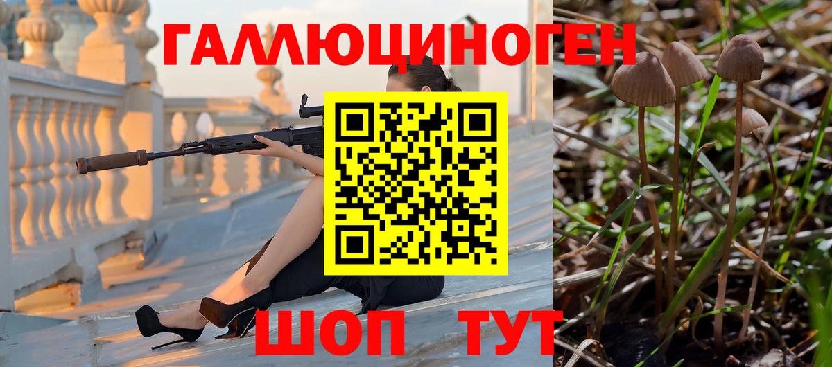 Галлюциногенные грибы мухоморы  Галлюциногенные грибы мицелий  Вход с VPN  Россошь 